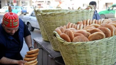 كشفت دراسة علمية مغربية حديثة أن مادة الخبز تأتي في طليعة المواد الغذائية الأكثر تعرضا للهدر والتخلص منها داخل بيوت الأسر المغربية، متجاوزة