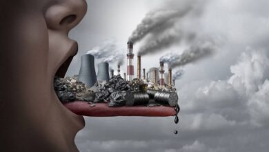 حذّرت منظمة الصحة العالمية من الأخطار المتزايدة للتسمم بالرصاص باعتباره أحد أشد التهديدات الصحية والبيئية خطورة وشيوعا في العالم، متسببا ف
